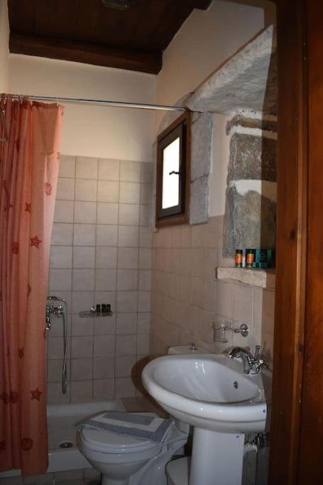 Traditional Villa With Pool In Sfakia Imbros Екстериор снимка