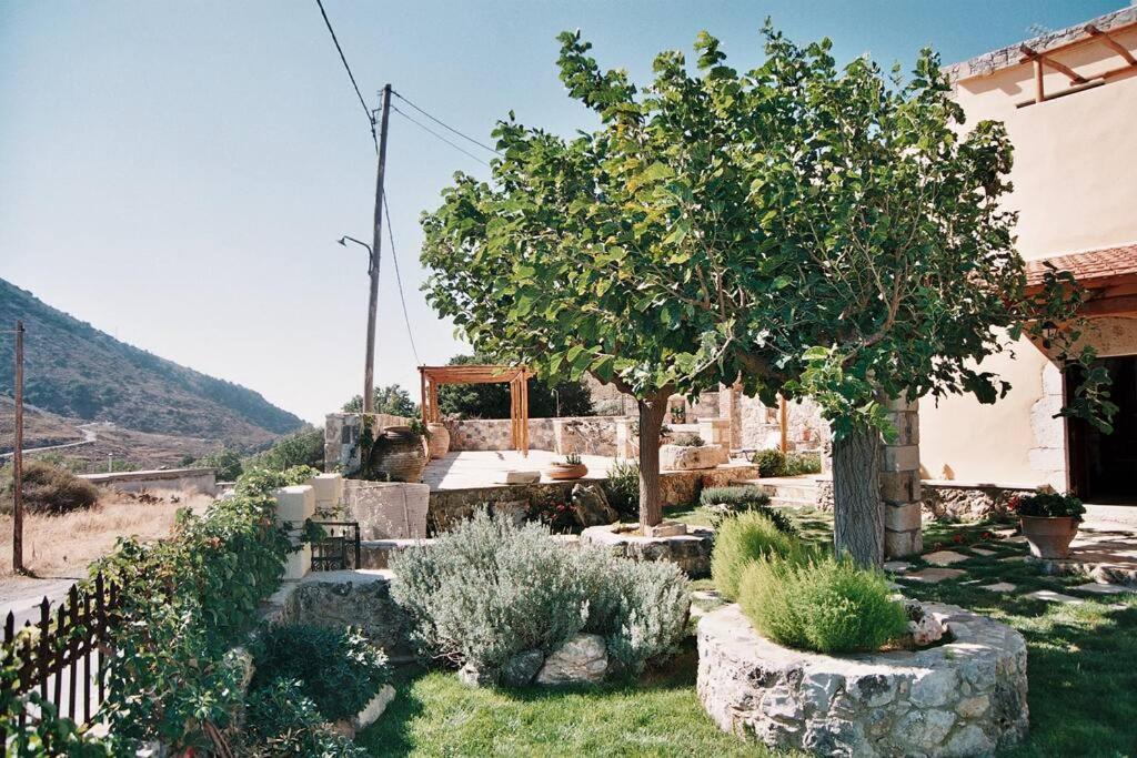 Traditional Villa With Pool In Sfakia Imbros Екстериор снимка